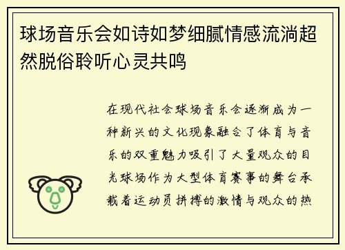 球场音乐会如诗如梦细腻情感流淌超然脱俗聆听心灵共鸣